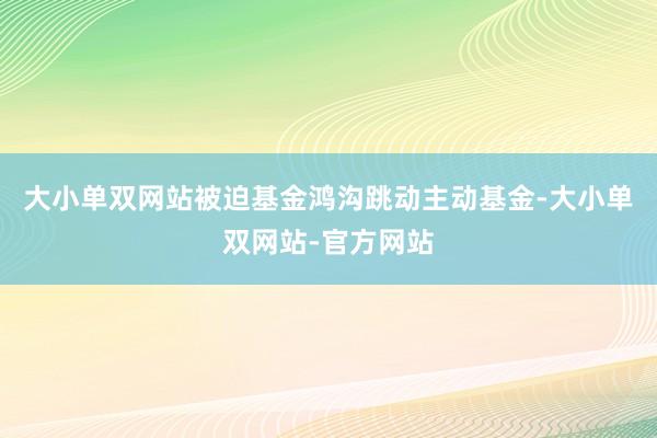 大小单双网站被迫基金鸿沟跳动主动基金-大小单双网站-官方网站