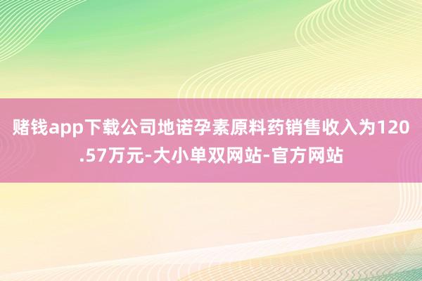 赌钱app下载公司地诺孕素原料药销售收入为120.57万元-大小单双网站-官方网站